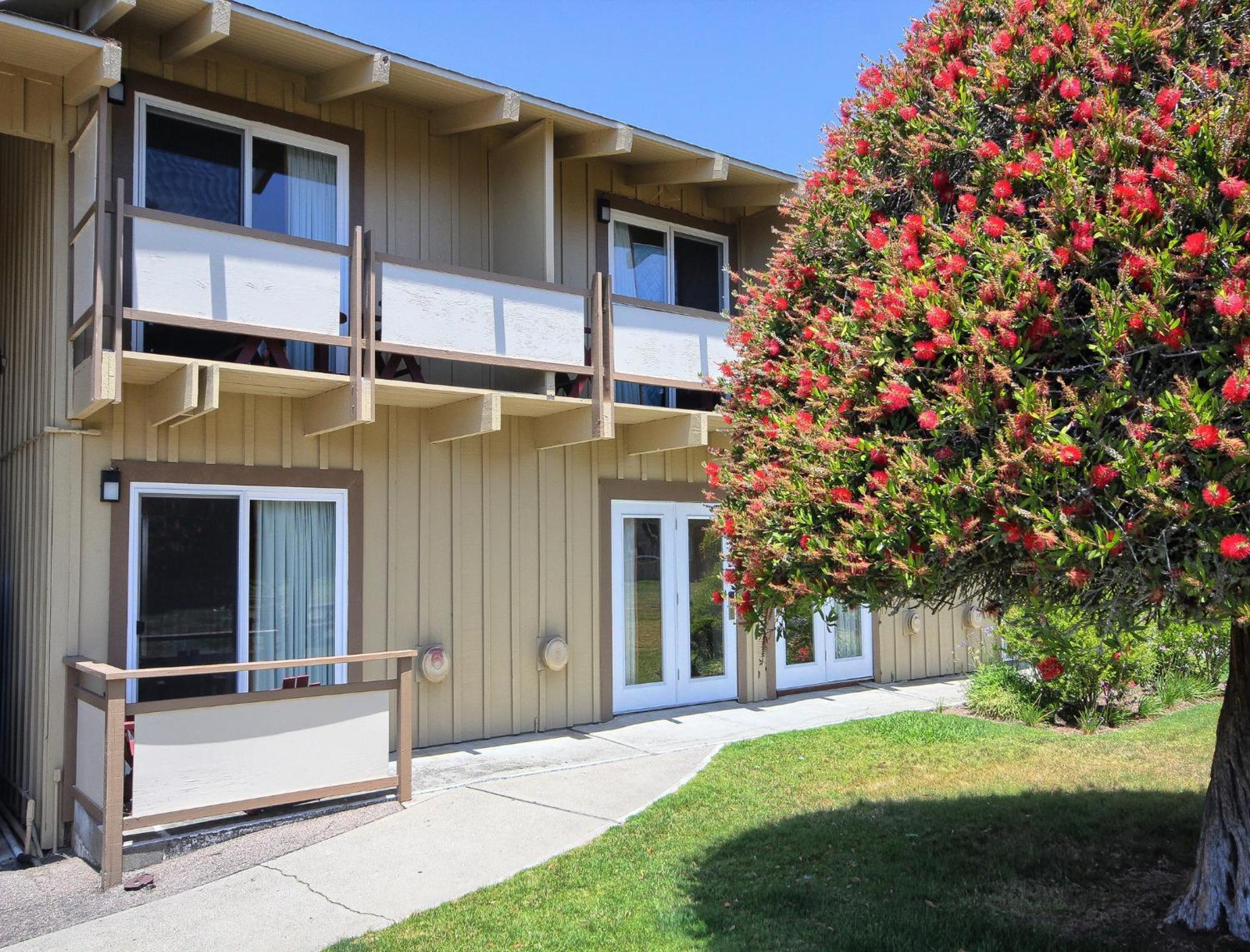Motel Silver Surf 2*